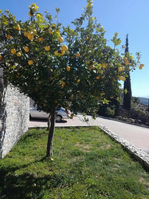 Nafplio, Hill With An Amazing View Apartment Exterior foto